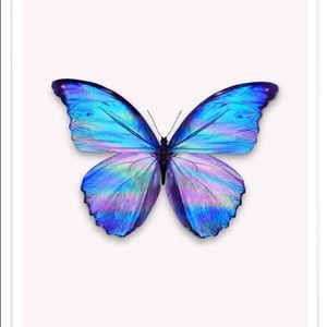 Meet your Posher, Eli